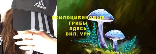 соль курить ск Бугульма